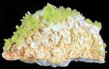 Pyromorphite Crystal Cluster - China #63682-1